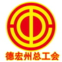 德宏州总工会ico