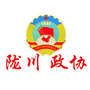 陇川政协ico