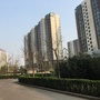 大红门锦苑一社区ico