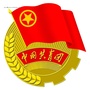 龙泉驿东洪社区青年ico