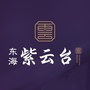 东海紫云台ico