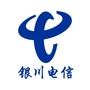 银川电信ico