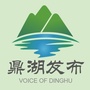 鼎湖发布ico