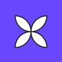 丁香生活研究所ico