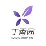 丁香园ico