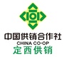 定西供销ico