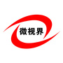 定西微视届ico