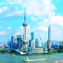 发现最美上海公众号ico