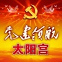 党建领航太阳宫ico