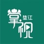 掌视垫江ico