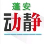 蓬安动静ico
