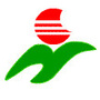 大沥镇城南小学ico