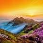 大连大黑山景区ico