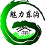 魅力东沟ico