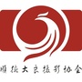 顺德大良摄影协会ico