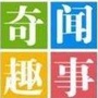 第六奇闻趣事ico