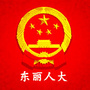 东丽人大ico