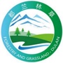 都兰林草ico