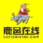 鹿邑在线ico