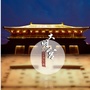爱游大明宫ico