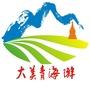 大美青海游ico