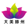 大美滕州ico