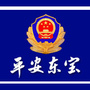 平安东宝ico
