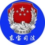 东宝司法ico