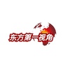 东方第一视角ico