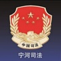 宁河司法ico