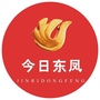 今日东凤ico