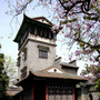 东莞市可园博物馆ico
