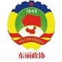 东丽政协ico