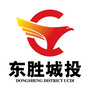 东胜城投ico