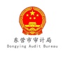 东营审计ico