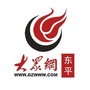 大众网东平ico