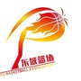 东坡篮球ico