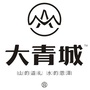 大青城ico