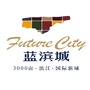 蓝滨城ico
