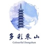 多彩东山ico