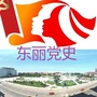 东丽党史公众号ico