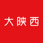 大陕西公众号ico