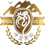 平安独山子ico
