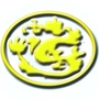 九龙出租汽车公司ico