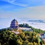 洞头旅发ico