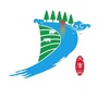 大唐微发布ico