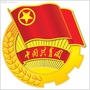 彭州市大湾村青年ico