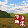 岭南管委会ico