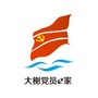 大榭党员e家ico