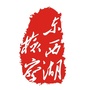 东西湖检察ico